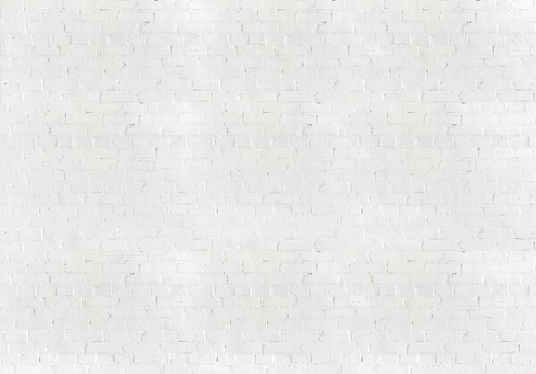 Foto tapeta - Bijele cigle (152,5x104 cm)