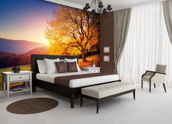 Foto tapeta - Jesen (152,5x104 cm)
