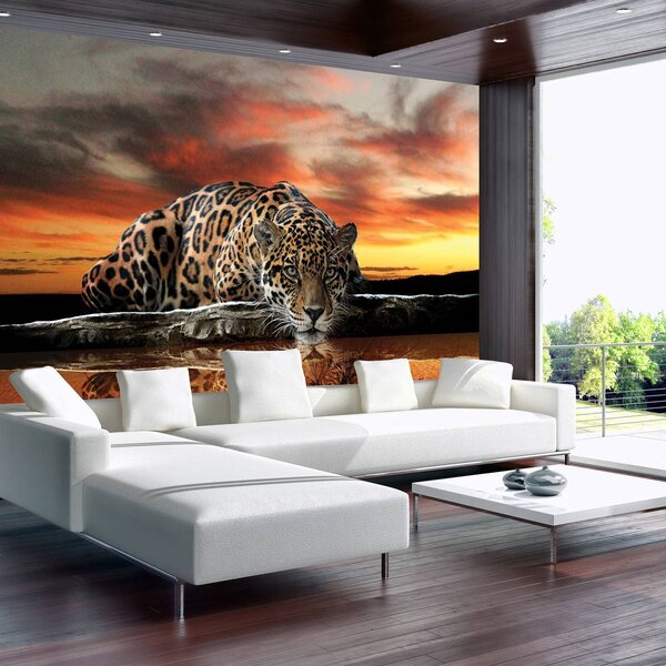 Foto tapeta - Jaguar (152,5x104 cm)