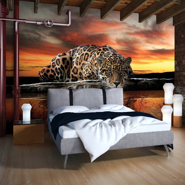 Foto tapeta - Jaguar (152,5x104 cm)