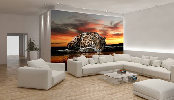 Foto tapeta - Jaguar (152,5x104 cm)