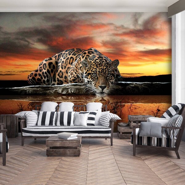 Foto tapeta - Jaguar (152,5x104 cm)