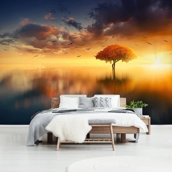 Foto tapeta - Zalazak sunca (152,5x104 cm)