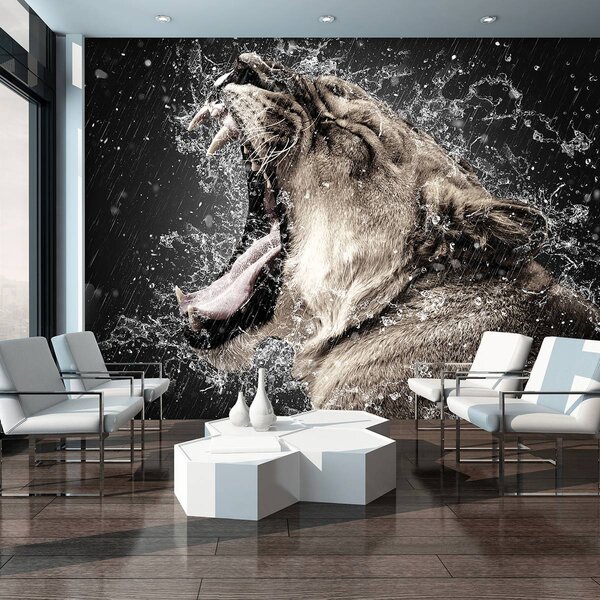 Foto tapeta - Lavica na kiši (152,5x104 cm)