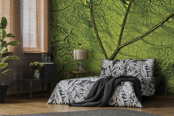 Foto tapeta - Makro list (152,5x104 cm)