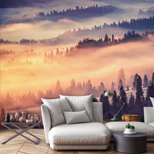 Foto tapeta - Šuma u magli (152,5x104 cm)