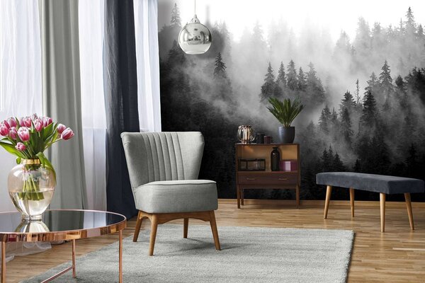 Foto tapeta - Šuma u magli (152,5x104 cm)