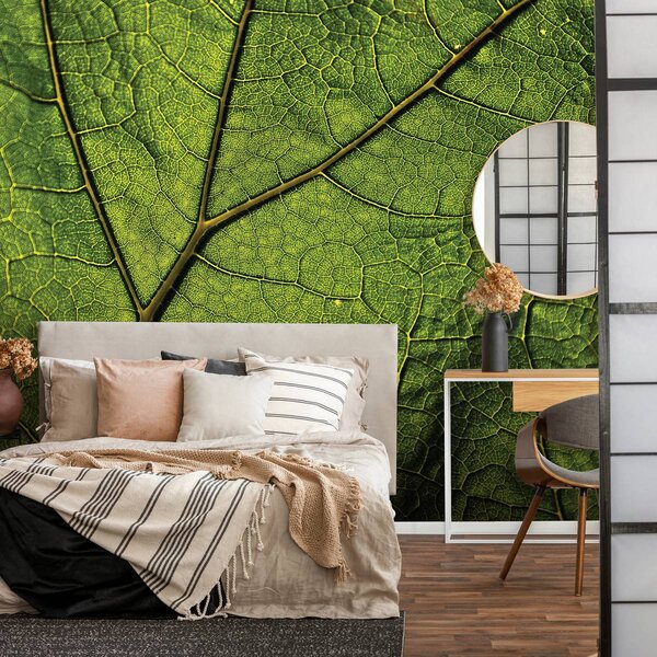 Foto tapeta - Makro list (152,5x104 cm)