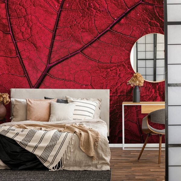 Foto tapeta - Makro list - crven (152,5x104 cm)