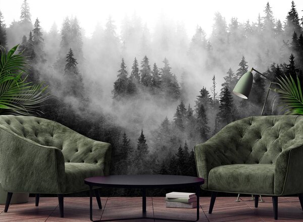 Foto tapeta - Šuma u magli (152,5x104 cm)
