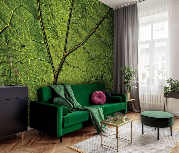 Foto tapeta - Makro list (152,5x104 cm)