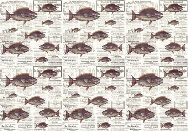Foto tapeta - Piranja u starim novinama (152,5x104 cm)