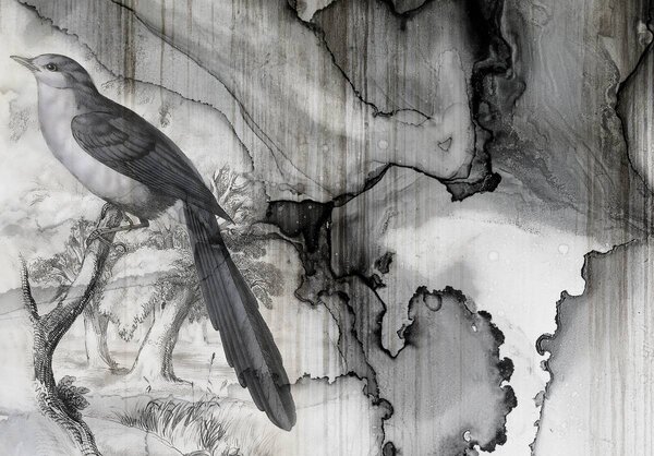 Foto tapeta - Ptica - prolivena tinta (152,5x104 cm)
