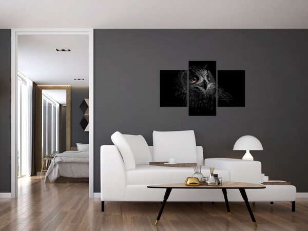 Slika - Sova, ilustr (90x60 cm)