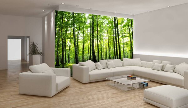 Foto tapeta - Zelena šuma (152,5x104 cm)