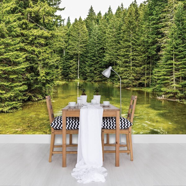 Foto tapeta - Šuma (152,5x104 cm)