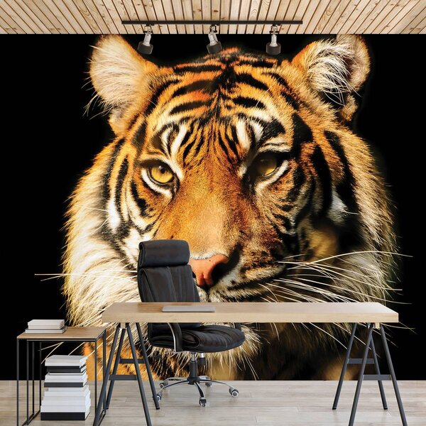 Foto tapeta - Veličanstveni tigar (152,5x104 cm)