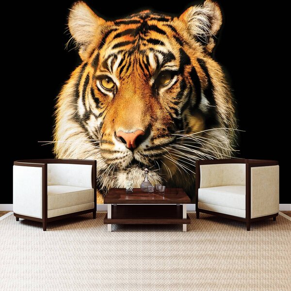 Foto tapeta - Veličanstveni tigar (152,5x104 cm)