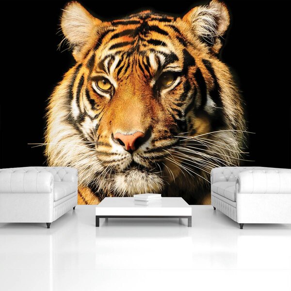 Foto tapeta - Veličanstveni tigar (152,5x104 cm)
