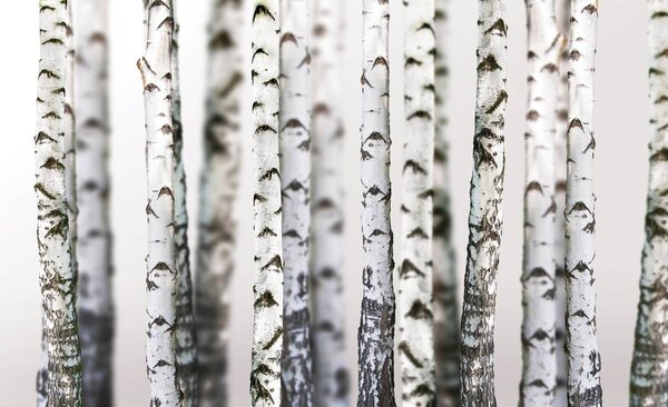 Foto tapeta - Breze (152,5x104 cm)