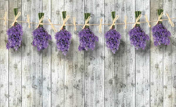 Foto tapeta - Lavanda (152,5x104 cm)