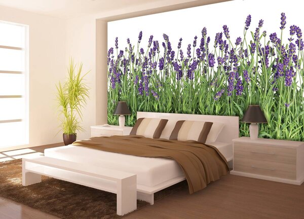 Foto tapeta - Lavanda (152,5x104 cm)