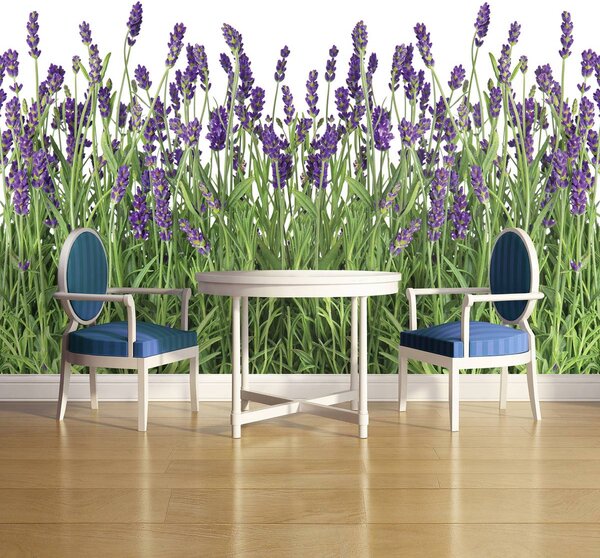 Foto tapeta - Lavanda (152,5x104 cm)