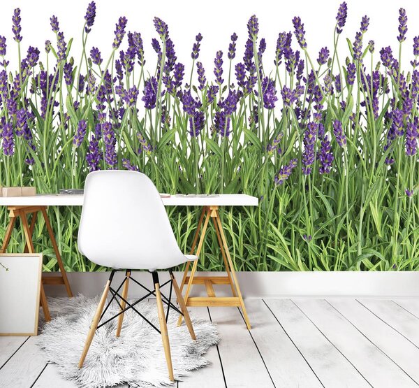 Foto tapeta - Lavanda (152,5x104 cm)