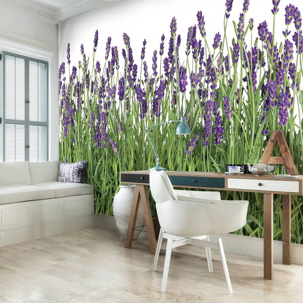 Foto tapeta - Lavanda (152,5x104 cm)
