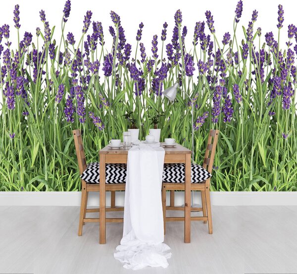 Foto tapeta - Lavanda (152,5x104 cm)