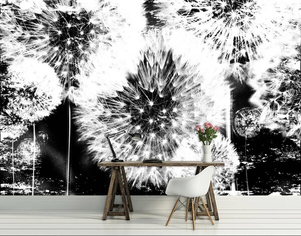 Foto tapeta - Maslačak (152,5x104 cm)