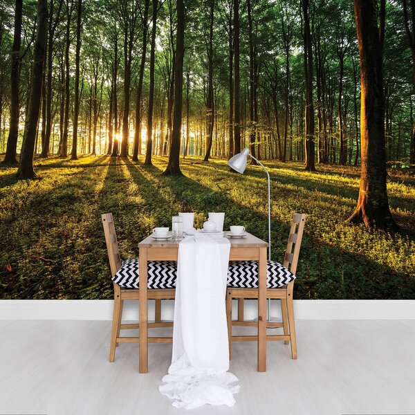 Foto tapeta - Šuma (152,5x104 cm)