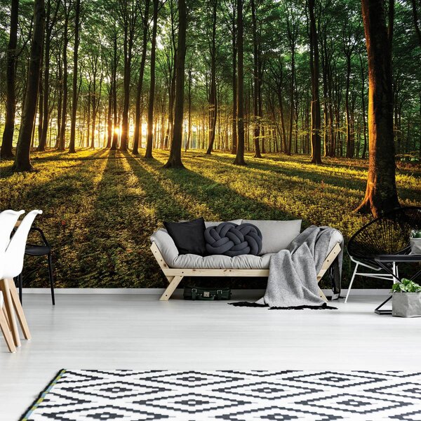 Foto tapeta - Šuma (152,5x104 cm)