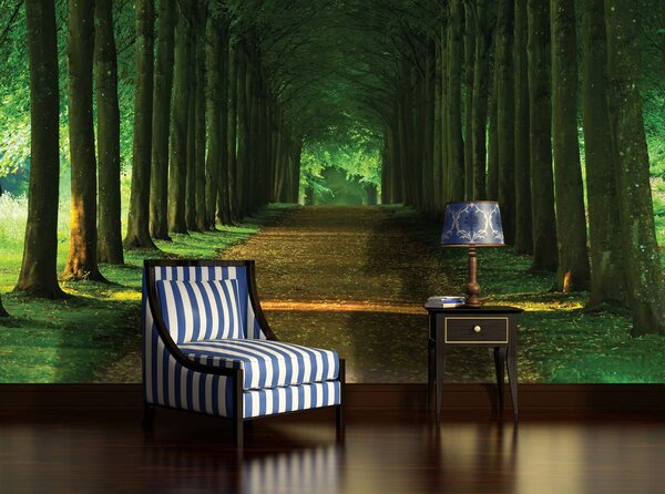 Foto tapeta - Aleja (152,5x104 cm)