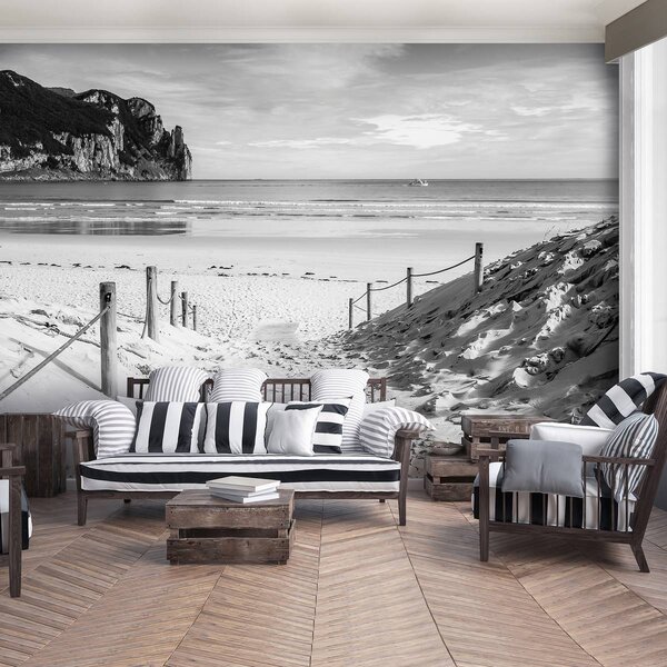 Foto tapeta - Put do plaže (152,5x104 cm)