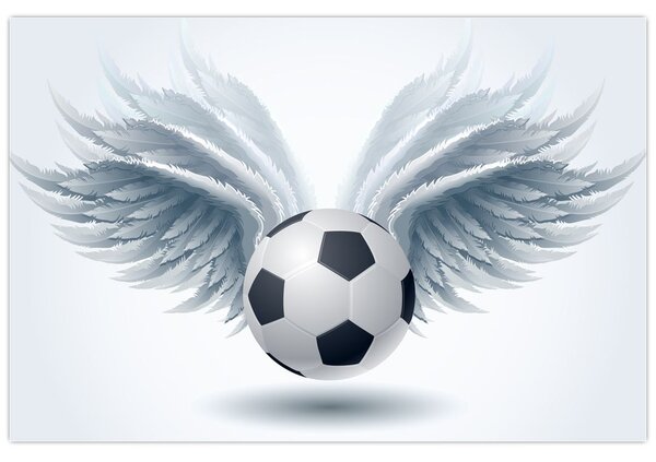 Slika - Balon s krili (90x60 cm)