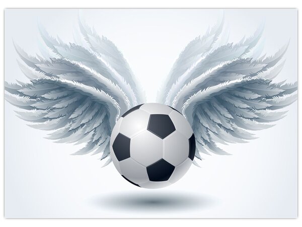 Slika - Balon s krili (70x50 cm)