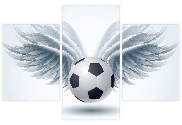 Slika - Balon s krili (90x60 cm)
