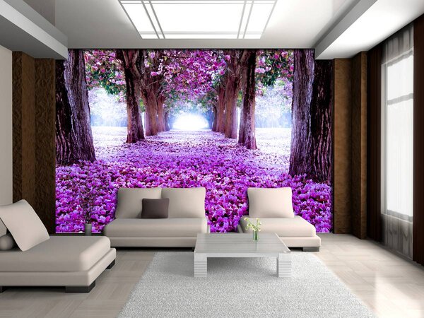 Foto tapeta - Aleja (152,5x104 cm)