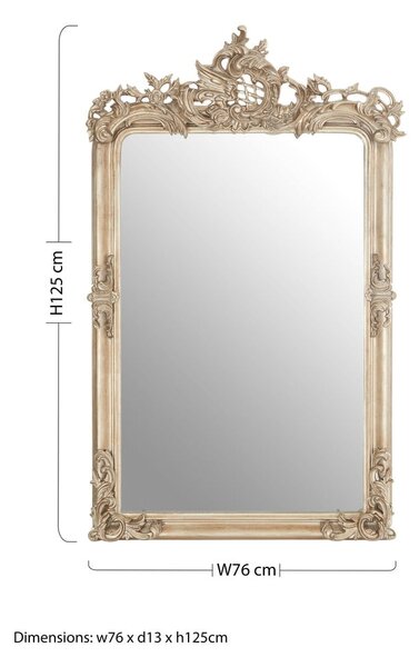 Zidno ogledalo 76x125 cm Gilda – Premier Housewares