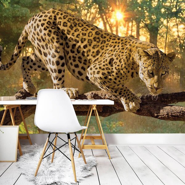 Foto tapeta - Jaguar Forest Woods (152,5x104 cm)