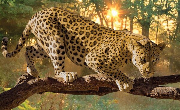 Foto tapeta - Jaguar Forest Woods (152,5x104 cm)