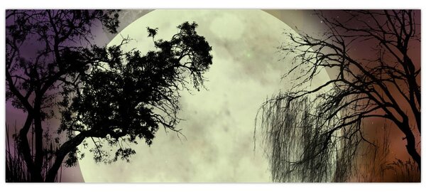 Slika - Polna luna nad površjem (120x50 cm)