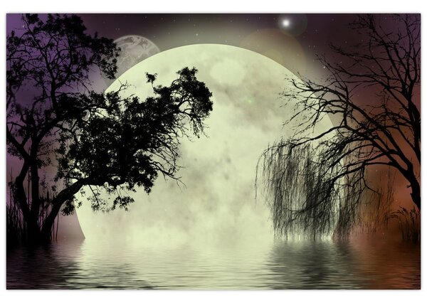 Slika - Polna luna nad površjem (90x60 cm)