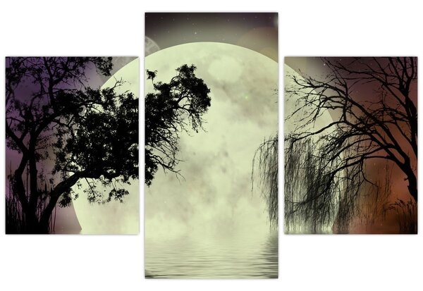 Slika - Polna luna nad površjem (90x60 cm)