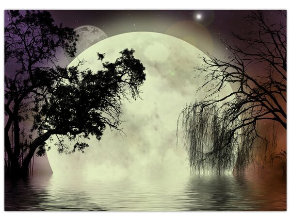 Slika - Polna luna nad površjem (70x50 cm)