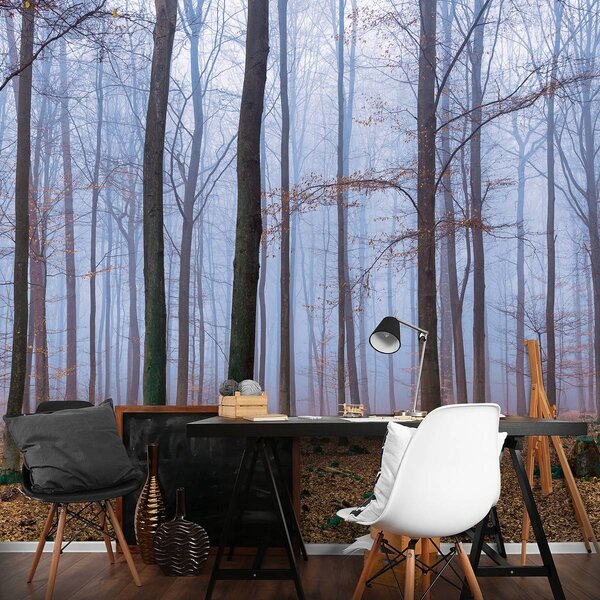 Foto tapeta - Šuma (152,5x104 cm)