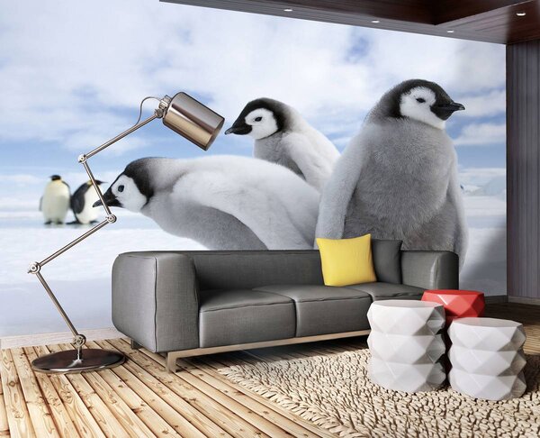 Foto tapeta - Pingvini (152,5x104 cm)