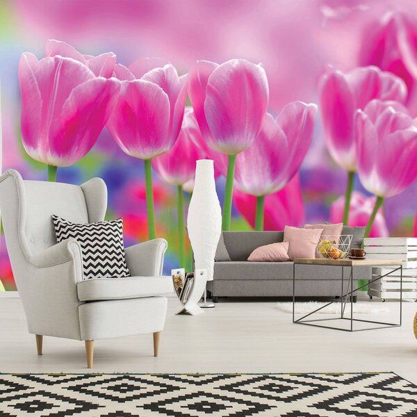 Foto tapeta - Tulipani (152,5x104 cm)