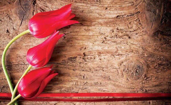 Foto tapeta - Tulipan, drvo, čipka (152,5x104 cm)